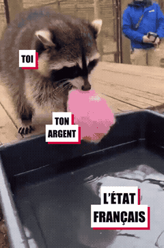 gif argent etat impot nicolas vol racket pognon taxe