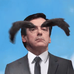 fillon francois sourcil sourcils vol air