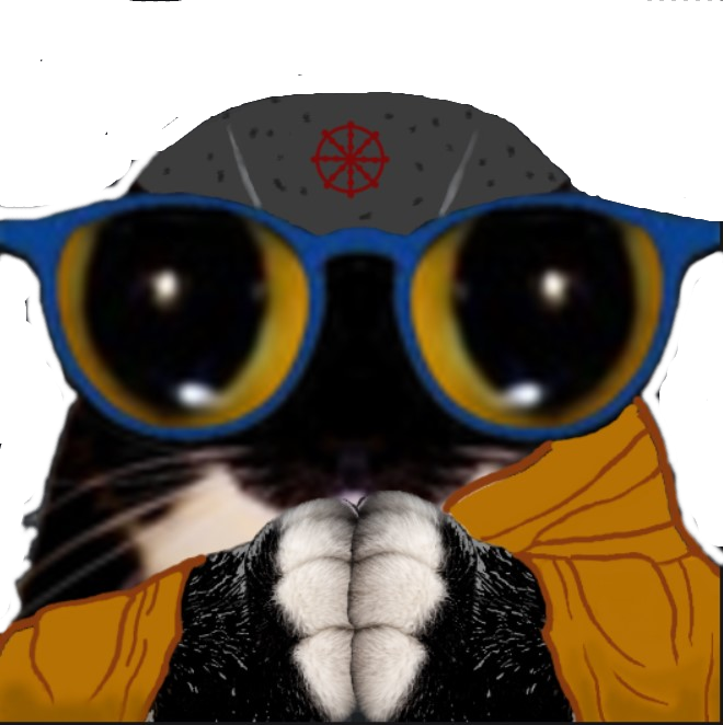 charma dharma bouddhisme bouddhiste lunettes uni maxwell pretre prier patte roue asie religion sage chat