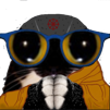 charma-dharma-bouddhisme-bouddhiste-lunettes-uni-maxwell-pretre-prier-patte-roue-asie-religion-sage-chat