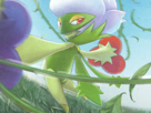 pokemon-roserade