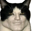chat-drole-marrant-noir-blanc-maya-pdf-alpha-chad