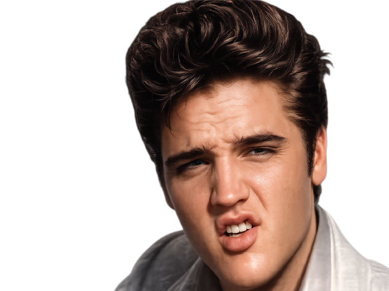 elvis presley jeune the king rock roll bg grimace