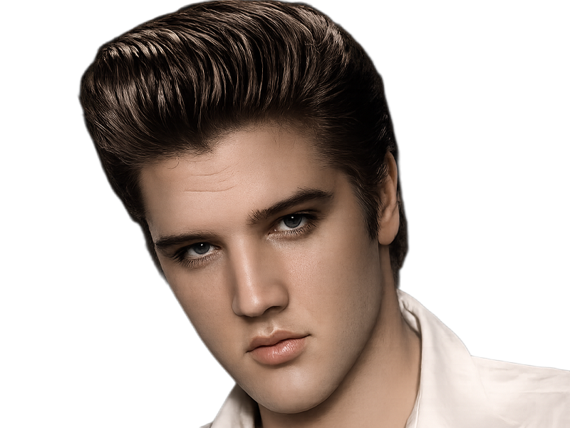 elvis presley jeune the king rock roll bg serieux