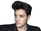 elvis-presley-jeune-the-king-rock-roll-bg-regard
