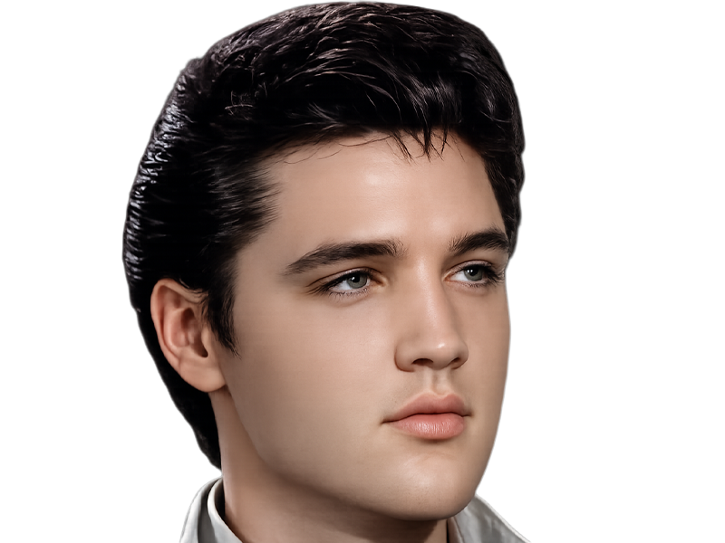 elvis presley jeune the king rock roll bg