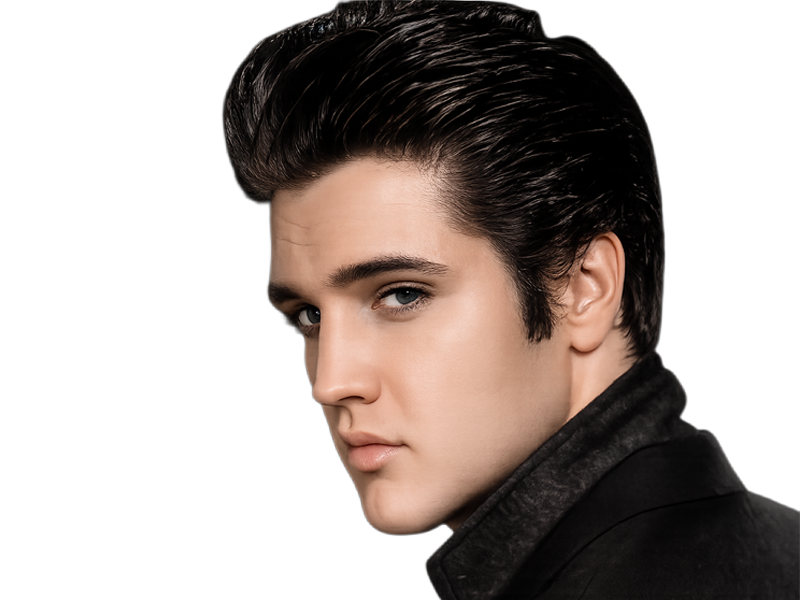 elvis presley jeune the king rock roll bg dos regard