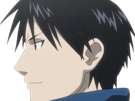 roy-mustang-fullmetal-alchemist-fma-cheveux-noir-fulgence-archambault-fic-bloop
