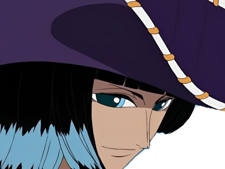 nico robin one piece ninon cheveux noir yeux bleu fic bloop chapeau violet