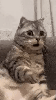 chok-way-palm-deg-miedo-affraid-nan-fear-worry-planque-mano-cata-alarm-alert-effroi