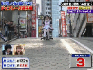 jap-yen-nipon-tvshow-cascade-run-sit-sat-silla-radar-pente-challenge-defi-rapid-speedo