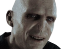 voldemort-harry-potter-ouroboros-serpent-boa-fic-bloop