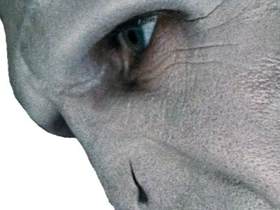 voldemort harry potter ouroboros serpent boa fic bloop