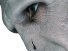 voldemort-harry-potter-ouroboros-serpent-boa-fic-bloop