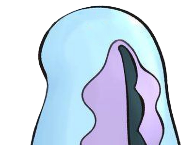 maraiste quagsire nuoh pokemon pkm anime jeu type eau sol 2g johto poisson