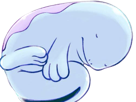 maraiste-quagsire-nuoh-pokemon-pkm-anime-jeu-type-eau-sol-2g-johto-poisson