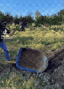 gif-rage-tabasse-poing-frappe-tare