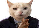 chat-bourse-costume-costard-main-serieux-american-psycho-paul-allen-card-business-calme-intelligent