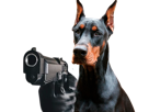 doberman-fidji-gun-flingue-pistolet-menace-suite