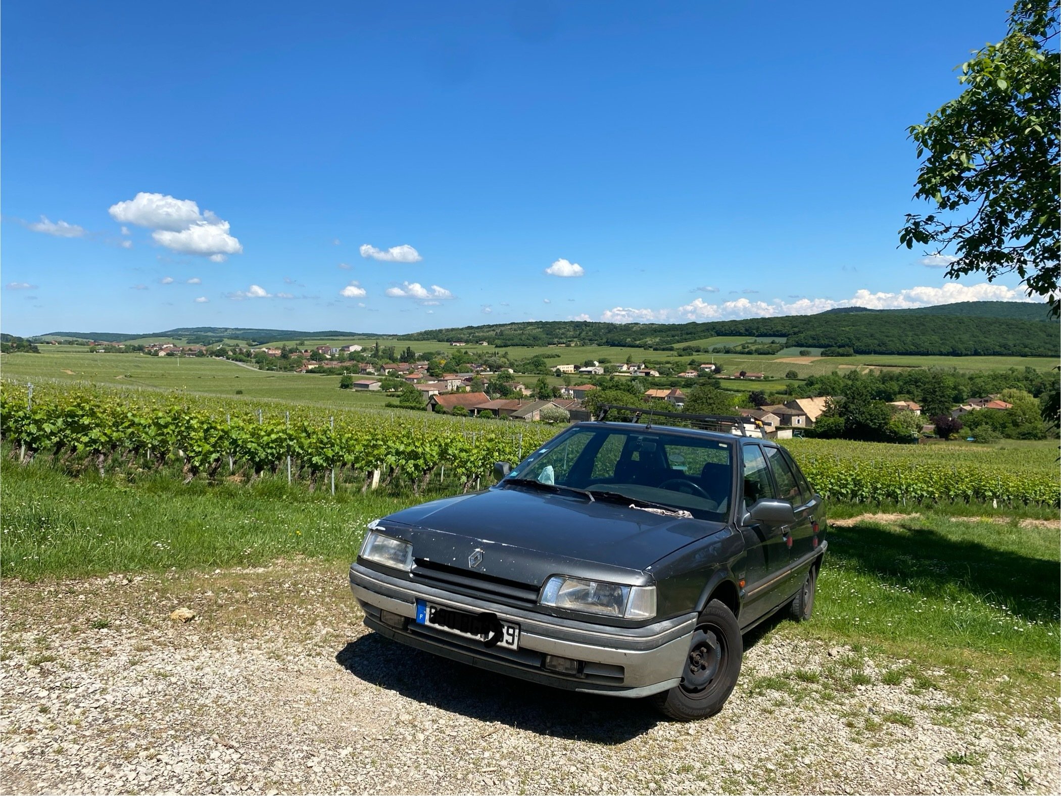 teen femme meuf fille bave voiture bagnole caisse campagne renault