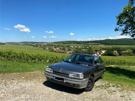 teen-femme-meuf-fille-bave-voiture-bagnole-caisse-campagne-renault