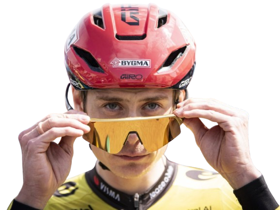 jonas vingegaard vingorde visma velo