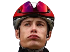 jonas vingegaard vingorde visma velo