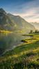switz-swiss-schweiz-ch-alpes-milka-vallee-colline-valley-rando-hike-mountain-paysage-nature-grass