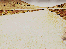 virevoltant-tumbleweed-far-west-far-west-western-abandon-abandonne