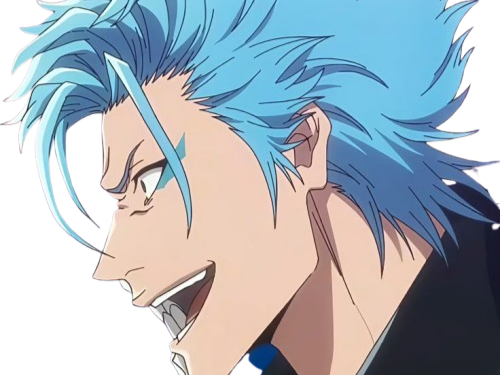 grimmjow jaegerjaquez bleach cheveux yeux bleu arrancar grimm jager masque fic bloop