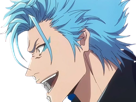 grimmjow-jaegerjaquez-bleach-cheveux-yeux-bleu-arrancar-grimm-jager-masque-fic-bloop