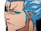 grimmjow-jaegerjaquez-bleach-cheveux-yeux-bleu-arrancar-grimm-jager-masque-fic-bloop