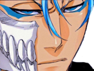 grimmjow-jaegerjaquez-bleach-cheveux-yeux-bleu-arrancar-grimm-jager-masque-fic-bloop