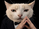 chat-mastermind-inverse-cote-elite-patron-intelligent-intello-boss-costard-serieux-manipulateur-stratege-fucklesgauchos-observe