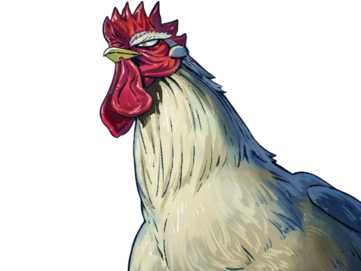 niwatori fighter rooster coq de baston keiji