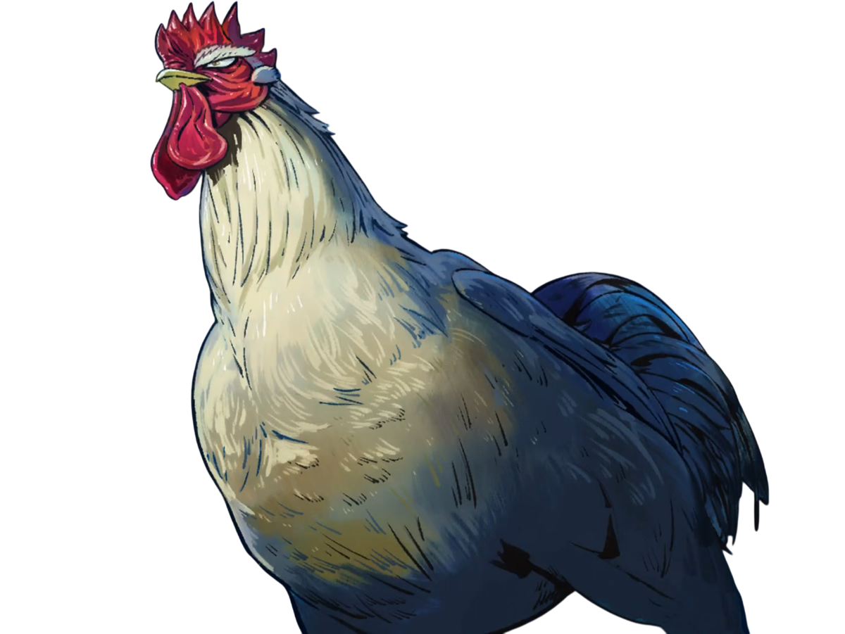 niwatori fighter rooster coq de baston keiji