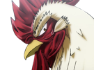 niwatori-fighter-rooster-coq-de-baston-keiji