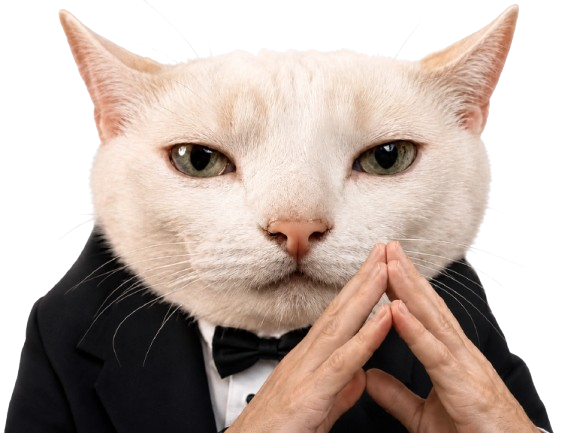chat inverse boss elite serieux patron intelligent fucklesgauchos costard stratege manipulateur mastermind intello ouibiensur cote