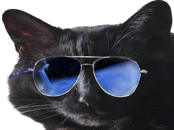 prostatix prosta for sure belgique chat noir cat redpill chiale brise brisax brisure pls belge