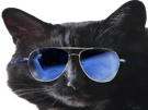 prostatix-prosta-for-sure-belgique-chat-noir-cat-redpill-chiale-brise-brisax-brisure-pls-belge