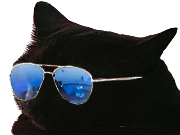 prostatix prosta for sure belgique chat noir cat redpill chiale brise brisax brisure pls belge