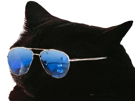 prostatix-prosta-for-sure-belgique-chat-noir-cat-redpill-chiale-brise-brisax-brisure-pls-belge