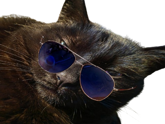 prostatix prosta for sure belgique chat noir cat redpill chiale brise brisax brisure pls belge
