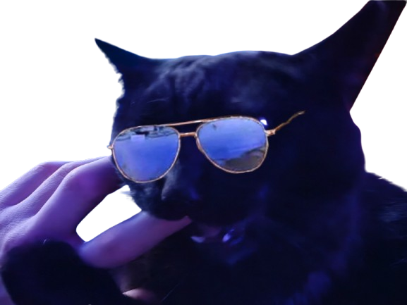 prostatix prosta for sure belgique chat noir cat redpill chiale brise brisax brisure pls belge