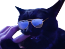 prostatix-prosta-for-sure-belgique-chat-noir-cat-redpill-chiale-brise-brisax-brisure-pls-belge