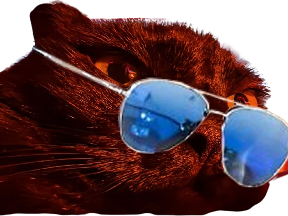 prostatix prosta for sure belgique chat noir cat redpill chiale brise brisax brisure pls belge
