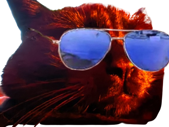 prostatix prosta for sure belgique chat noir cat redpill chiale brise brisax brisure pls belge