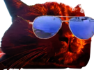 prostatix-prosta-for-sure-belgique-chat-noir-cat-redpill-chiale-brise-brisax-brisure-pls-belge