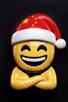 hap-eco-plus-3d-bonnet-grand-sourire-large-bras-croises-croix-drapeau-chine