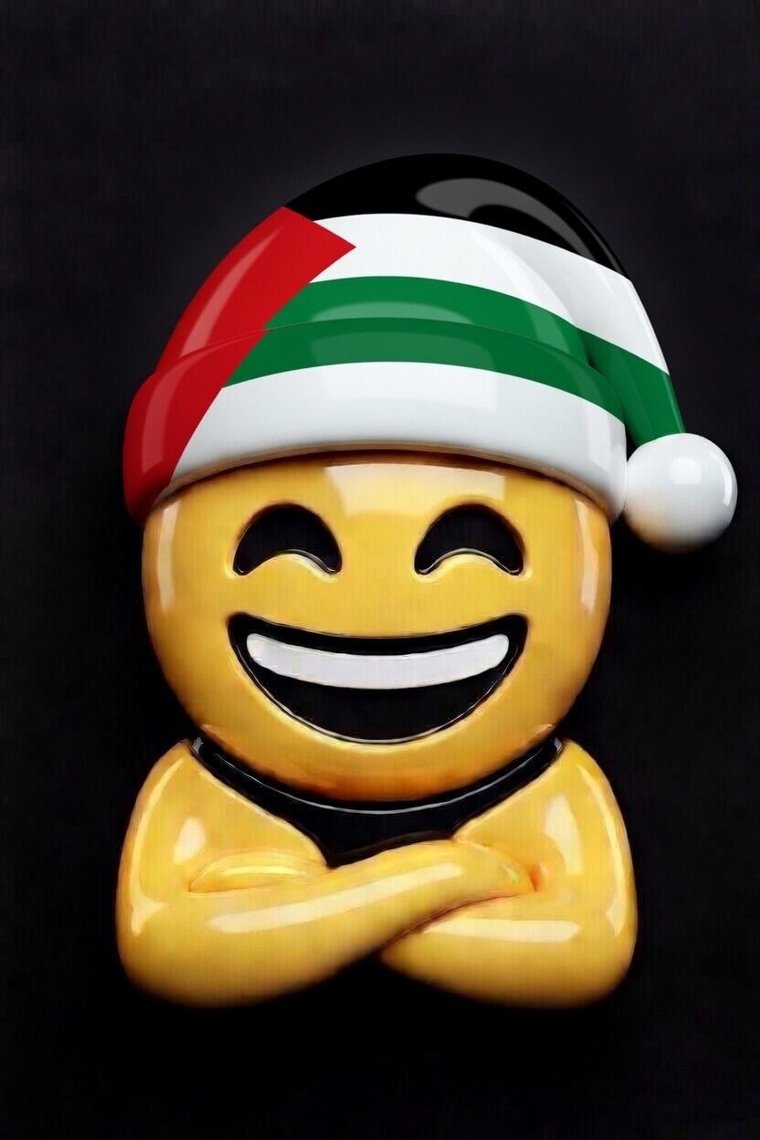 hap 3d drapeau bonnet grand sourire large bras croises croix palestine